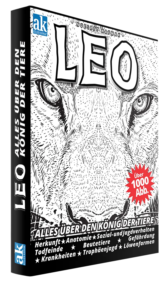 Cover LEO - König der Löwen